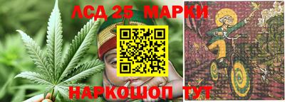гидропоника Коммунар